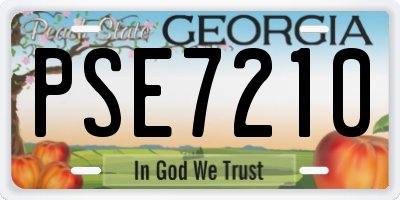 GA license plate PSE7210