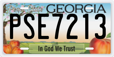 GA license plate PSE7213