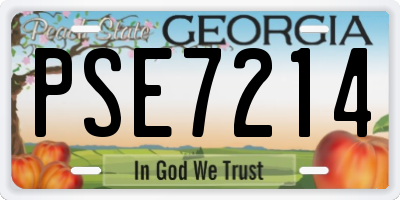GA license plate PSE7214