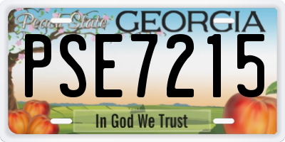 GA license plate PSE7215