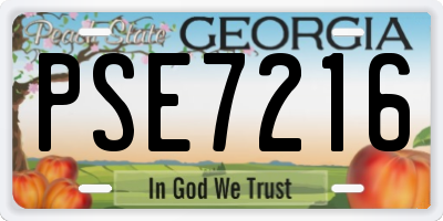 GA license plate PSE7216