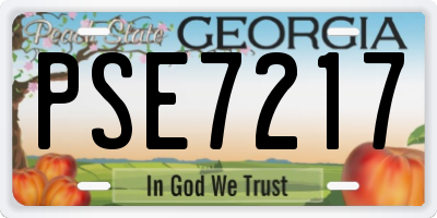 GA license plate PSE7217