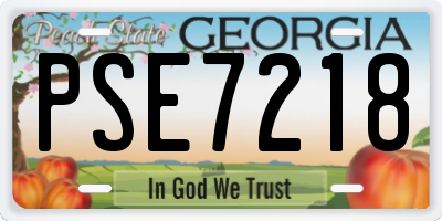 GA license plate PSE7218