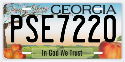 GA license plate PSE7220