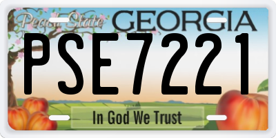 GA license plate PSE7221