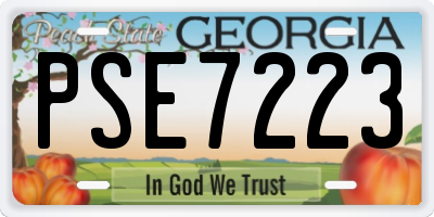 GA license plate PSE7223