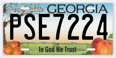GA license plate PSE7224