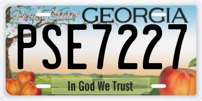 GA license plate PSE7227