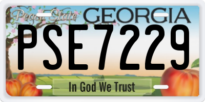 GA license plate PSE7229