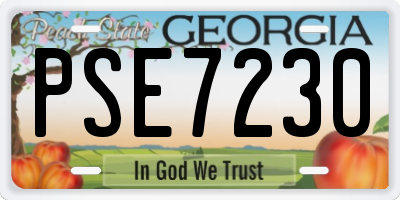 GA license plate PSE7230