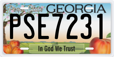 GA license plate PSE7231