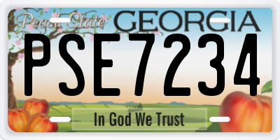GA license plate PSE7234