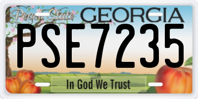 GA license plate PSE7235