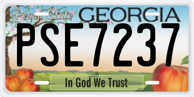 GA license plate PSE7237