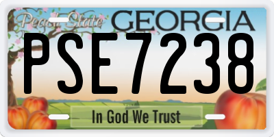 GA license plate PSE7238