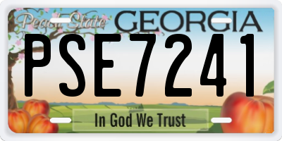 GA license plate PSE7241