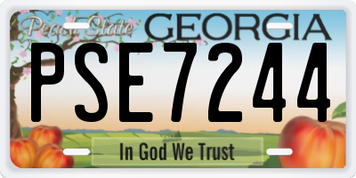 GA license plate PSE7244