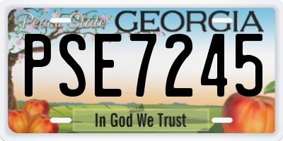 GA license plate PSE7245
