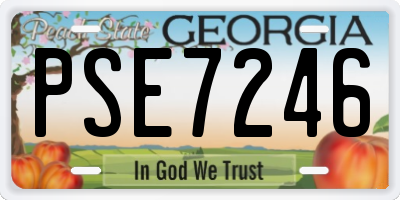 GA license plate PSE7246