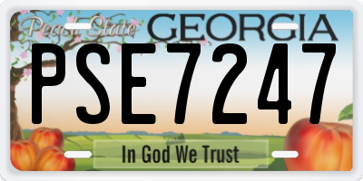 GA license plate PSE7247