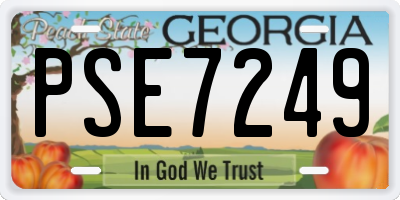 GA license plate PSE7249