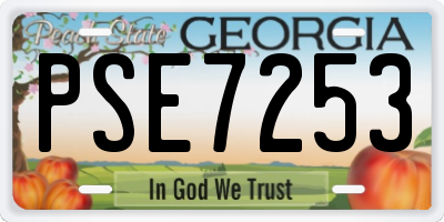 GA license plate PSE7253