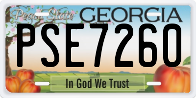 GA license plate PSE7260