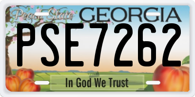 GA license plate PSE7262