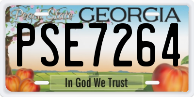 GA license plate PSE7264