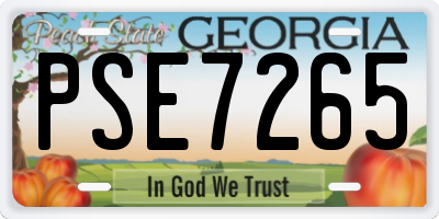 GA license plate PSE7265