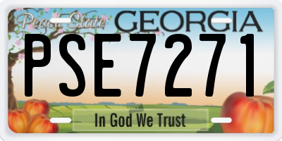 GA license plate PSE7271