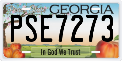 GA license plate PSE7273