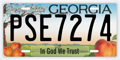 GA license plate PSE7274