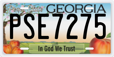 GA license plate PSE7275