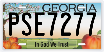GA license plate PSE7277