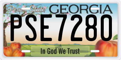 GA license plate PSE7280
