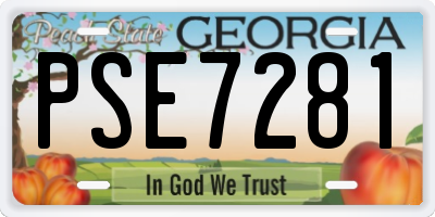 GA license plate PSE7281