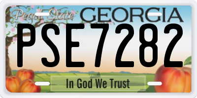 GA license plate PSE7282