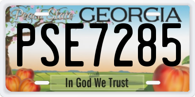 GA license plate PSE7285
