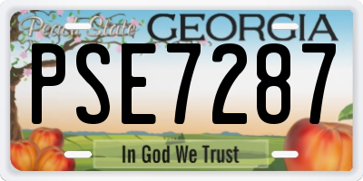 GA license plate PSE7287