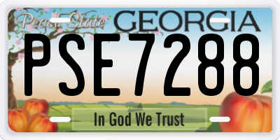 GA license plate PSE7288