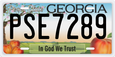 GA license plate PSE7289