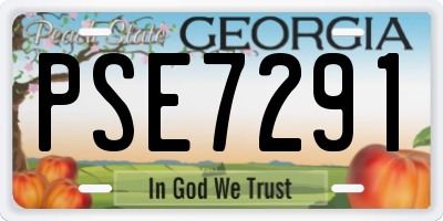 GA license plate PSE7291