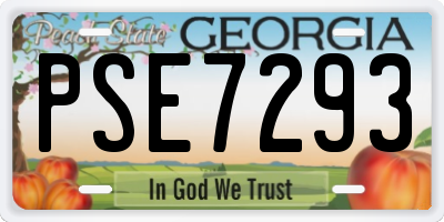 GA license plate PSE7293
