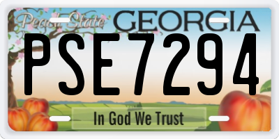 GA license plate PSE7294