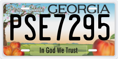 GA license plate PSE7295