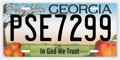 GA license plate PSE7299