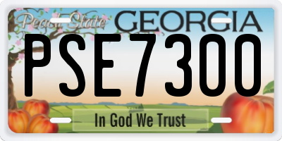 GA license plate PSE7300