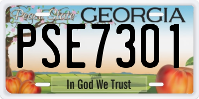 GA license plate PSE7301