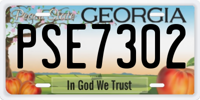 GA license plate PSE7302